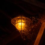 快手网页版免费观看 9xz49dk161