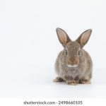 阿里云资源 d3ezq4d9